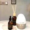 Difusor a varillas 250 ml.